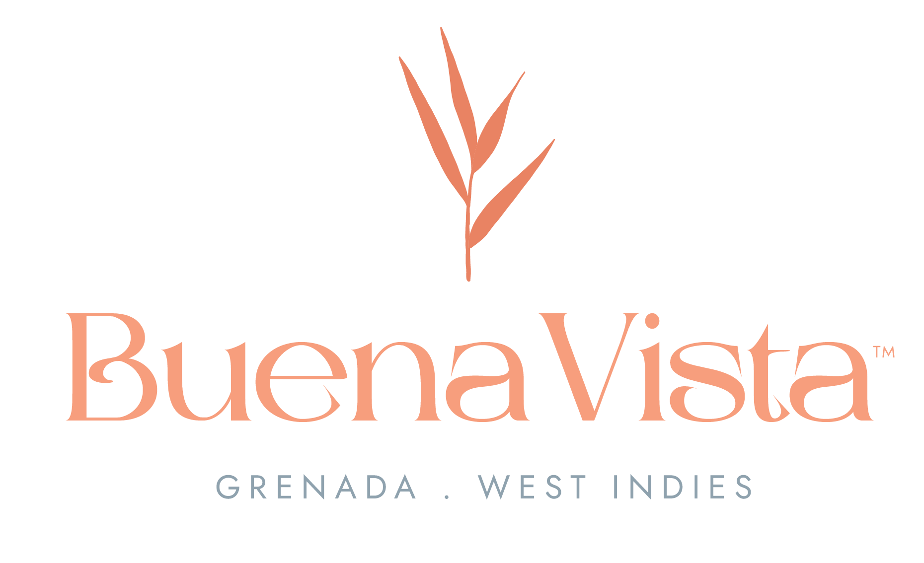 Buena Vista Apartments - Morne Rouge, Grand Anse, Grenada