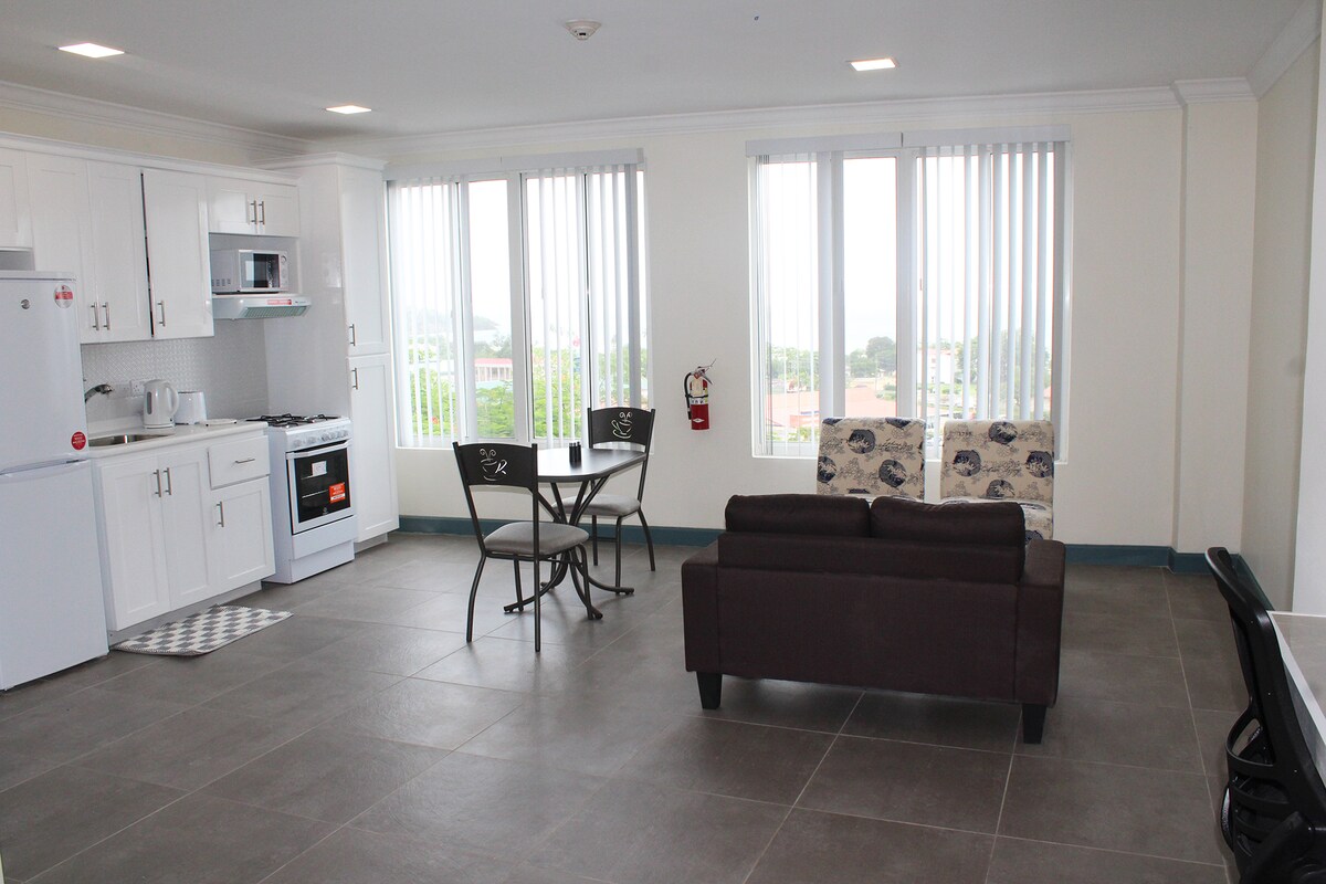 Penthouse Studio sea view #401B