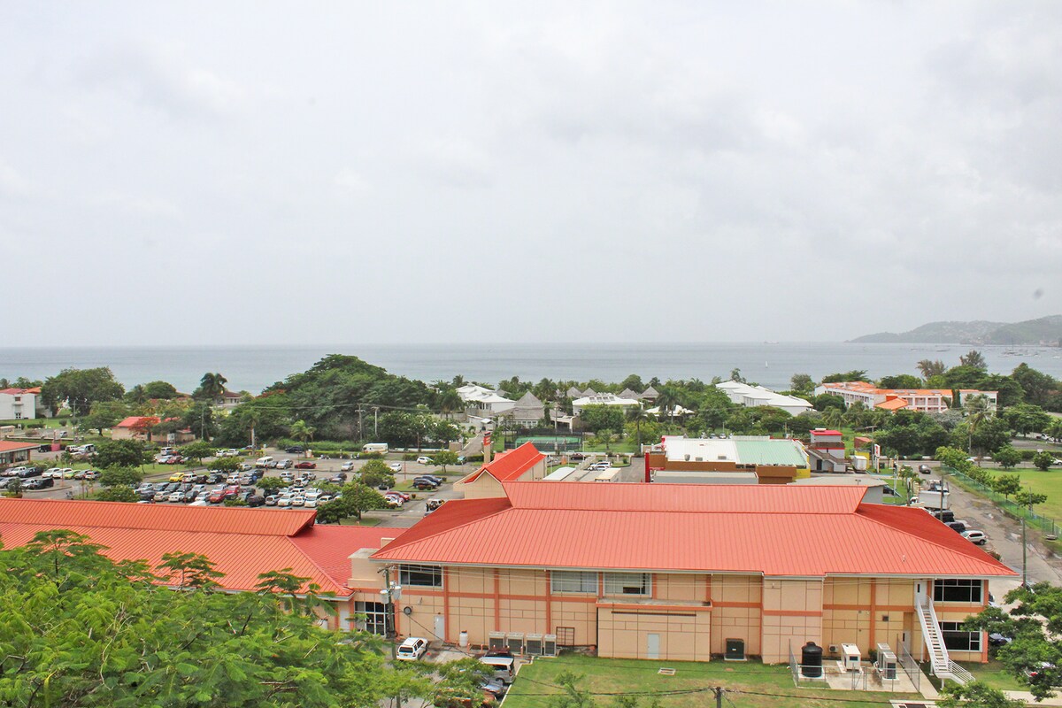 Side view · Buena Vista Studio #305